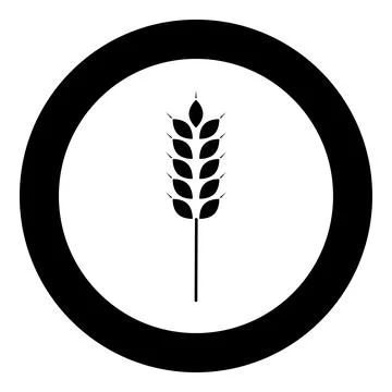 Wheat ear icon in circle round black color vector illustration image solid .. 스톡 일러스트