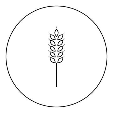 Wheat ear icon in circle round black color vector illustration image outlin.. Stock Illustration