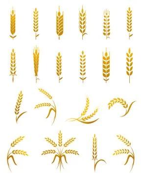 Wheat ear icon set Illustrazione stock