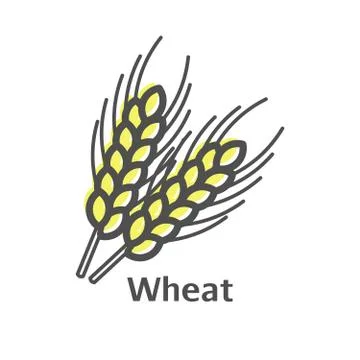 Wheat ear line icon, outline vector sign, linear style pictogram isolated on  Stock Illustration