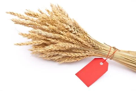 Wheat ear with red tag Stock Photos