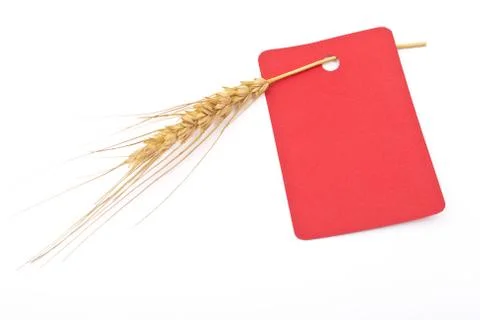 Wheat ear with red tag Stock Photos