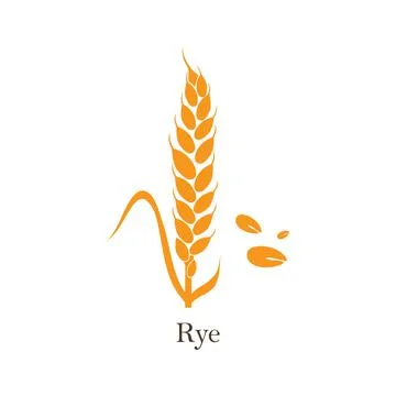 Wheat ear on a white background. Vector clip art on a white background Stock Illustration