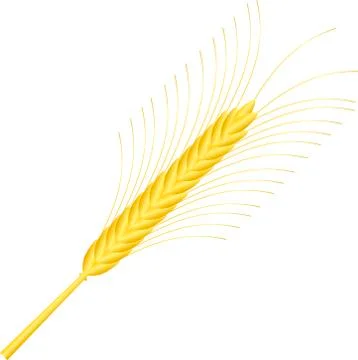 Wheat ear on white Stock Illustration