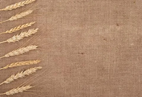 Wheat ears border on burlap background Stock Photos
