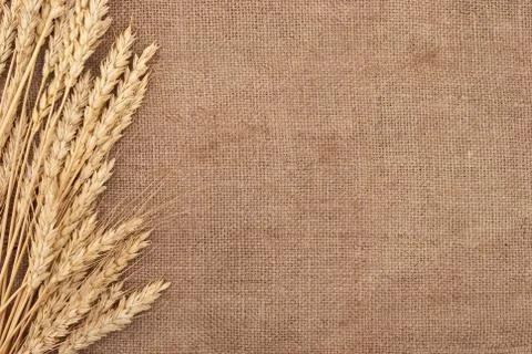 Wheat ears border on burlap background Stock Photos