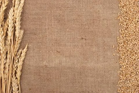 Wheat ears border on burlap background Stock Photos