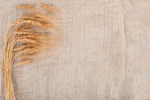 Wheat ears on burlap background Stock Photos