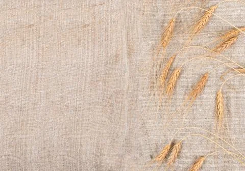 Wheat ears on burlap background Stock Photos
