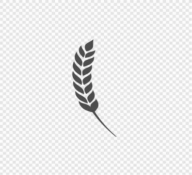 Wheat ears collection on a transparent background. Agricultural harvest Stock Illustration