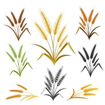Wheat Ears Emblem Set Stock Illustration