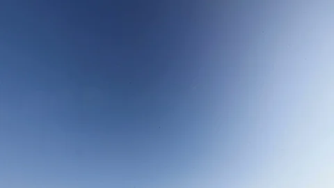 Wheat ears Stock Footage 76880652