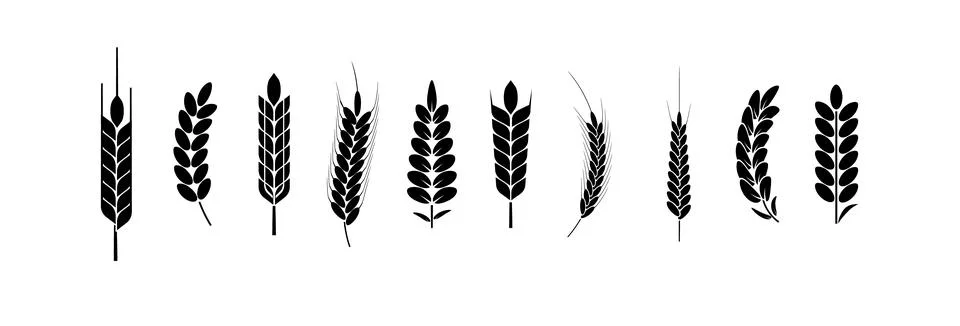 Wheat Ears Icons and Logo Set. For Identity Style. Organic wheat, bread Stock Illustration