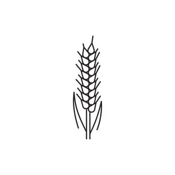 Wheat Ears Icons Stock Illustration