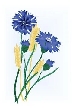 Wheat ears Stock Illustration