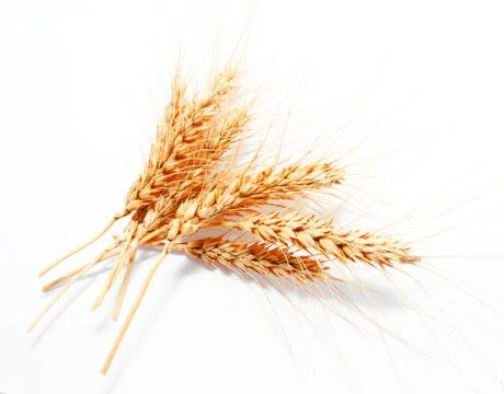 Wheat ears isolated on a white background Foto stock