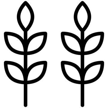 Wheat Ears Line Icon Vector with Editable Stroke Stock Illustration