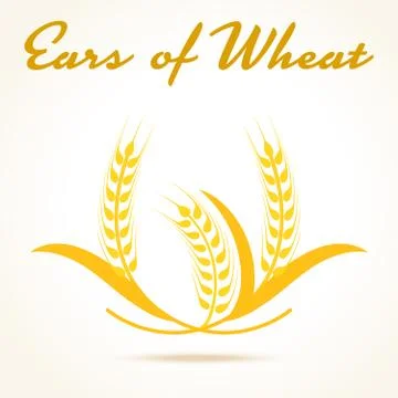 Wheat ears or rice icon. Crop, barley or rye symbol Stock Illustration