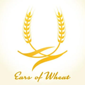 Wheat ears or rice icon. Crop, barley or rye symbol Stock Illustration