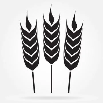 Wheat ears or rice icon. Agricultural symbol isolated on white background.  Stock Illustration