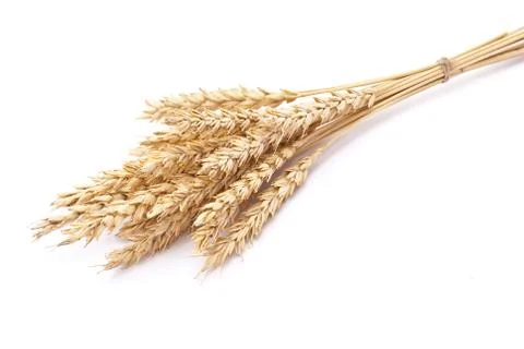 Wheat ears Stock Photos