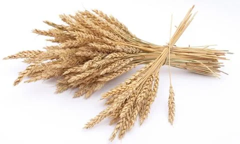 Wheat ears Stock Photos