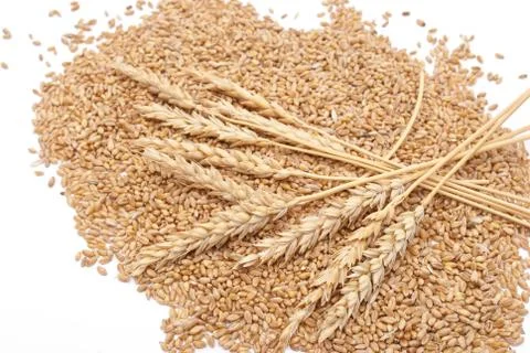 Wheat ears Stock Photos