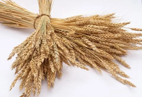 Wheat ears Stock Photos