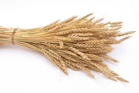 Wheat ears Stock Photos