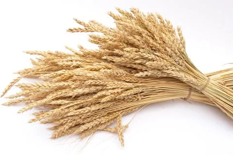 Wheat ears Stock Photos