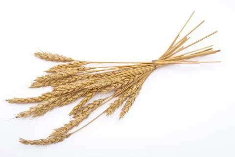 Wheat ears Stock Photos