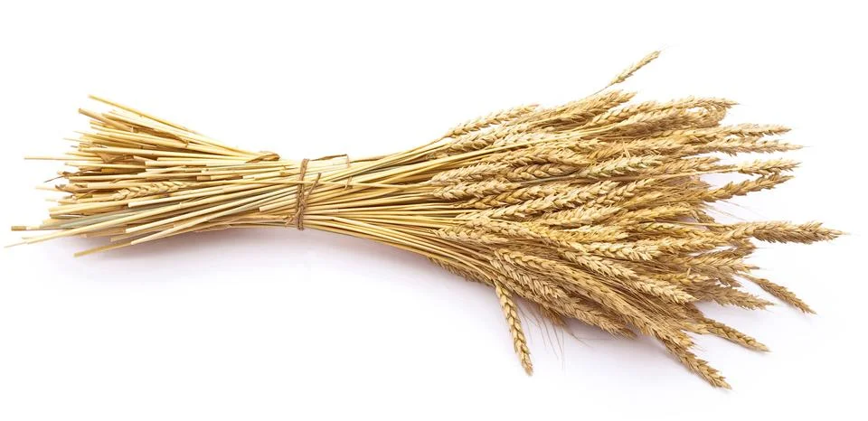 Wheat ears Stock Photos