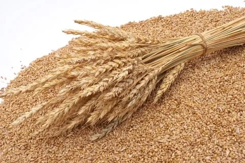 Wheat ears Stock Photos