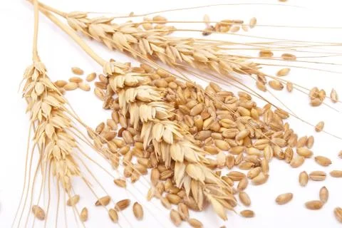 Wheat ears Stock Photos