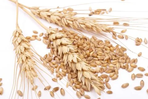 Wheat ears Stock Photos