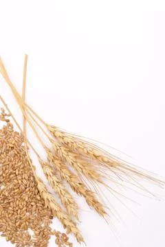 Wheat ears Stock Photos