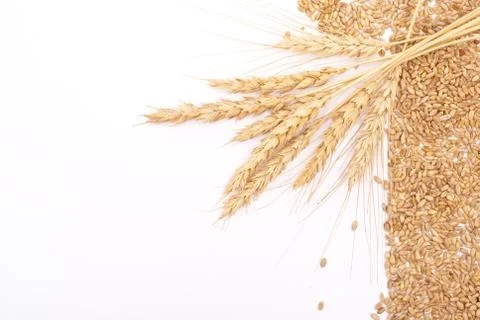 Wheat ears Stock Photos