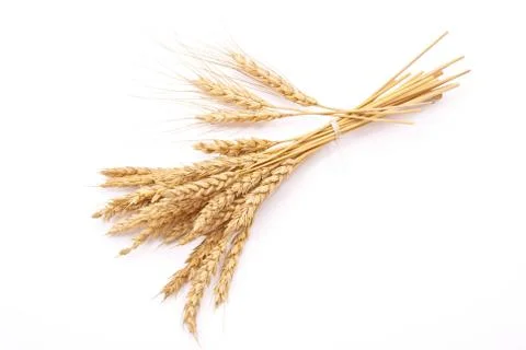Wheat ears Stock Photos