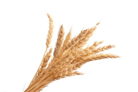 Wheat ears Stock Photos