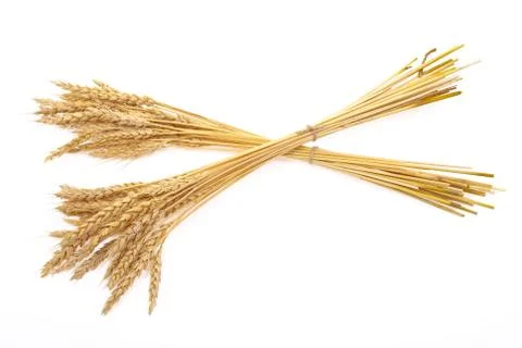 Wheat ears Stock Photos