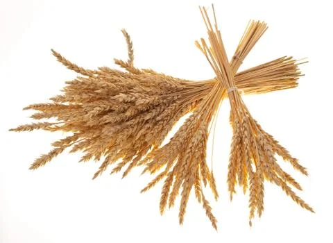 Wheat ears Stock Photos