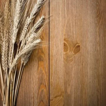 Wheat ears Stock Photos