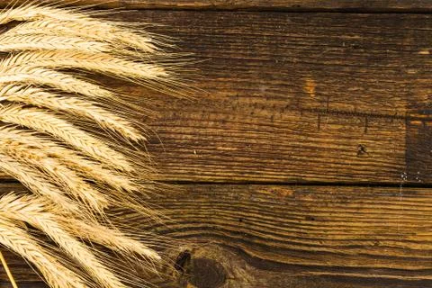 Wheat ears Stock Photos