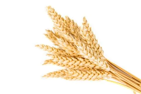 Wheat ears Stock Photos