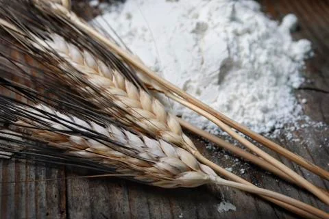 Wheat ears Stock-Fotos