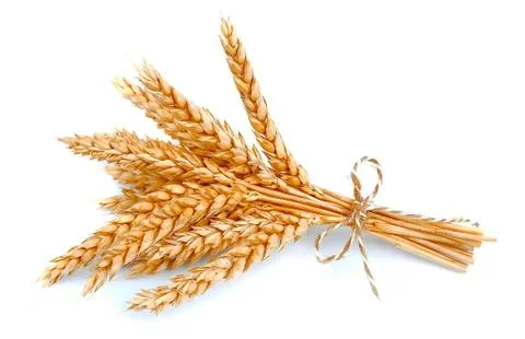 Wheat ears Stock Photos