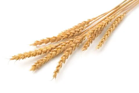 Wheat ears Stock Photos