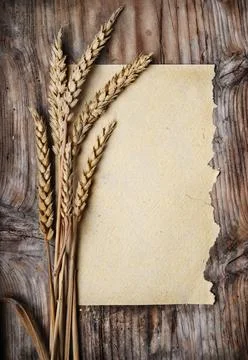 Wheat Ears Stock Photos