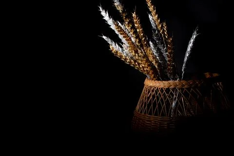 Wheat ears Stock Photos