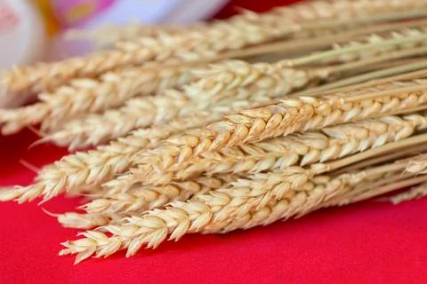 Wheat ears on red table Stock Photos